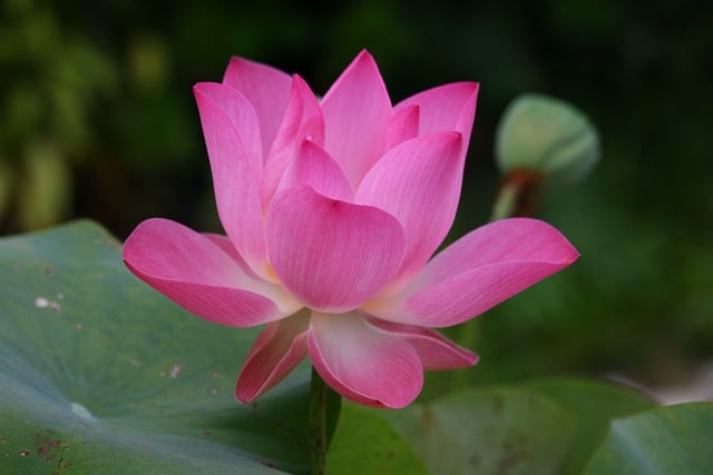 Co to znaczy po angielsku 8 00? Co to znaczy po angielsku 8 00?